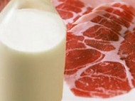 Помощь в организации мясо-молочного кластера предлагает Беларусь Амурской области