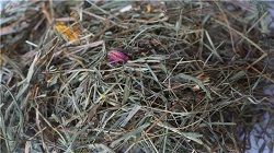 Под Бобруйском сгорела ферма